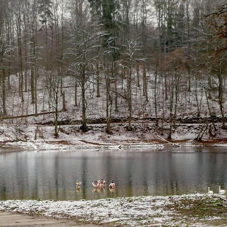 Bosko Domki Z Sauna I Balia W Sulminie Obok Gdanska エクステリア 写真